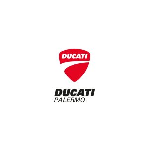 Filtro Olio originale Ducati Desmo 450 MX 2025/2026